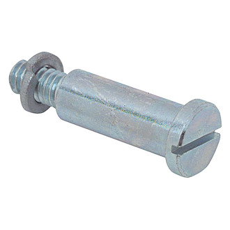 OER® - Pivot Driver or Passenger Side Replacement Turn Signal/Parking Light Screw