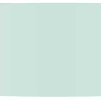 OER® - Windshield