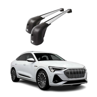 OMAC® - Silver Flush-Mounted Roof Rails Cross Bars