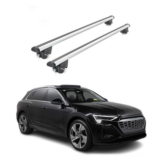 OMAC® - Gray Flush-Mounted Roof Rails Cross Bars