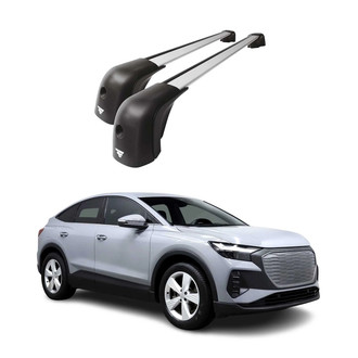 OMAC® - Silver Raised Roof Rails Cross Bars