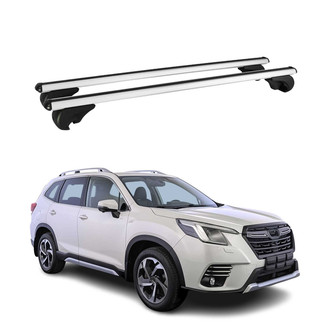 OMAC® - Gray Raised Roof Rails Cross Bars