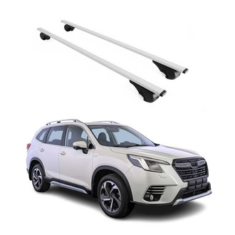 OMAC® - Gray Raised Roof Rails Cross Bars