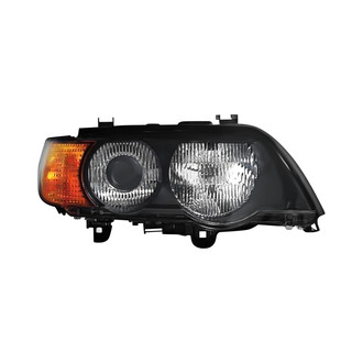 Pacific Best® - Passenger Side Replacement Headlight Lens and Housing (Standard Line)