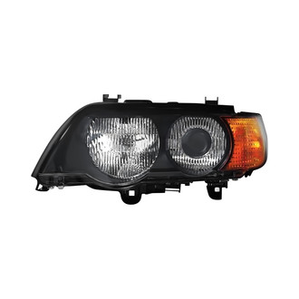 Pacific Best® - Driver Side Replacement Headlight Lens and Housing (Standard Line)