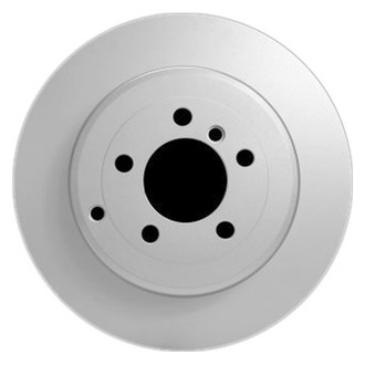 Pagid® - Solid Rear Brake Rotor