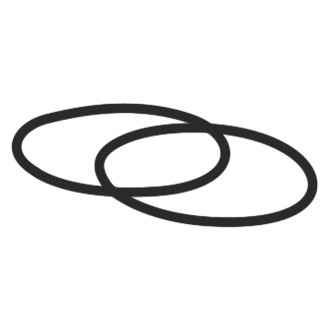 PAI® - Series #029S Injector Rectangular Sealing Rings