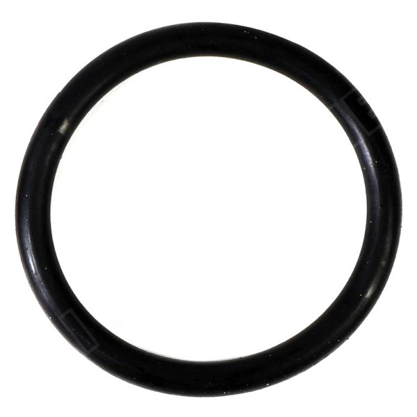 PAI® - Fuel Injector O-Ring