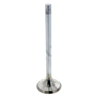 PAI® - Engine Valve Set