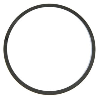 Pioneer Automotive® - Governor Seal