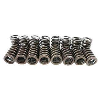 Pioneer Automotive® - Engine Valve Spring Kit