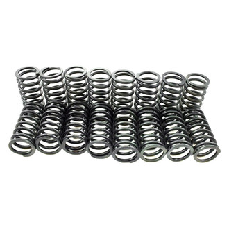 Pioneer Automotive® - Engine Valve Spring Kit