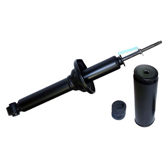 PRT® - Rear Driver or Passenger Side Twin-Tube Strut