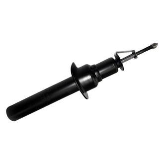 PRT® - Front Driver or Passenger Side Twin-Tube Strut
