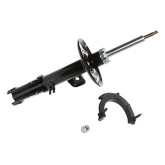PRT® - Front Passenger Side Strut Assembly