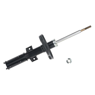 PRT® - Front Driver or Passenger Side Strut Assembly