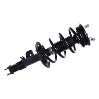 PRT® - Front Passenger Side Strut Assembly