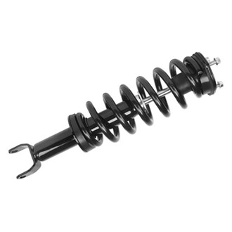 PRT® - Front Driver or Passenger Side Strut Assembly