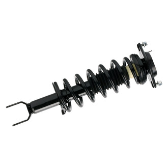 PRT® - Rear Driver or Passenger Side Strut Assembly