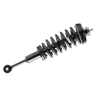 PRT® - Front Driver or Passenger Side Strut Assembly
