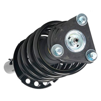 PRT® - Front Passenger Side Strut Assembly