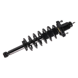 PRT® - Rear Driver or Passenger Side Strut Assembly