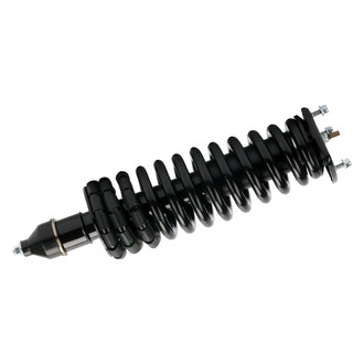 PRT® - Rear Driver or Passenger Side Strut Assembly