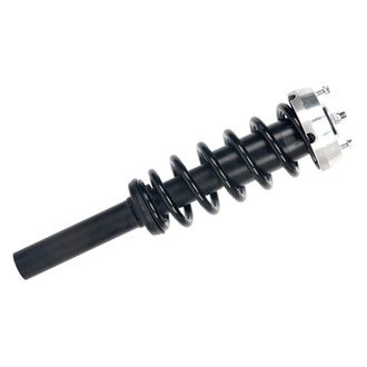 PRT® - Front Driver or Passenger Side Strut Assembly
