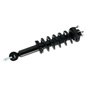 PRT® - Front Driver or Passenger Side Strut Assembly