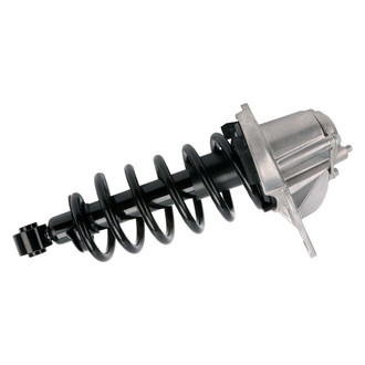 PRT® - Rear Driver Side Strut Assembly