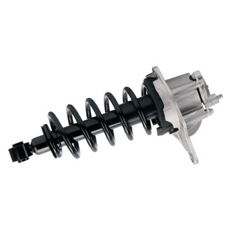 PRT® - Rear Passenger Side Strut Assembly