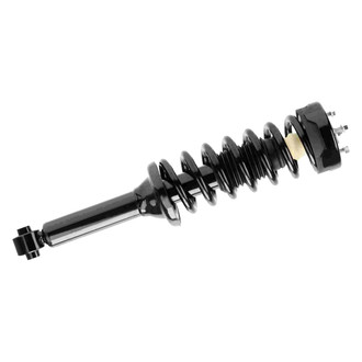 PRT® - Shock and Strut Assembly