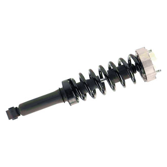 PRT® - Rear Driver or Passenger Side Strut Assembly