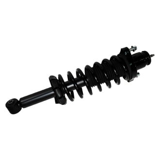 PRT® - Rear Driver or Passenger Side Strut Assembly
