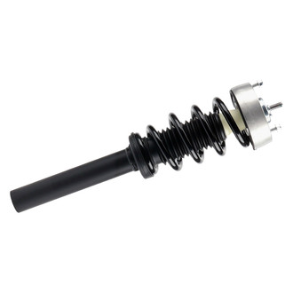 PRT® - Front Driver or Passenger Side Strut Assembly