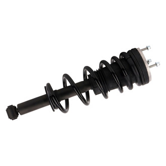 PRT® - Rear Driver or Passenger Side Strut Assembly
