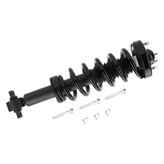 PRT® - Front Driver or Passenger Side Strut Assembly