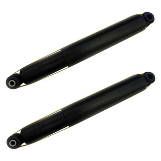 PRT® - Rear Shock Absorber Set