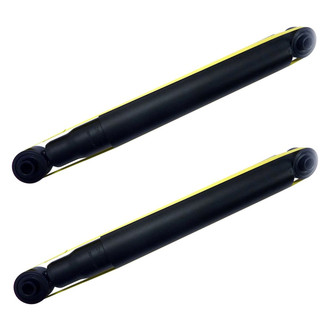 PRT® - Rear Shock Absorber Set