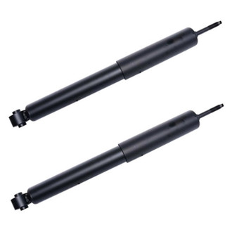 PRT® - Rear Shock Absorber Set