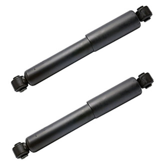 PRT® - Rear Shock Absorber Set