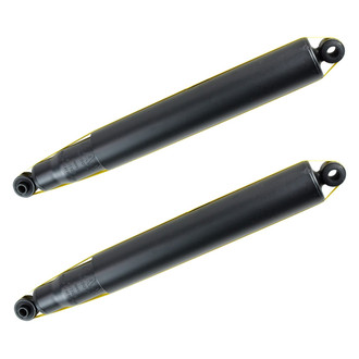 PRT® - Rear Strut Set