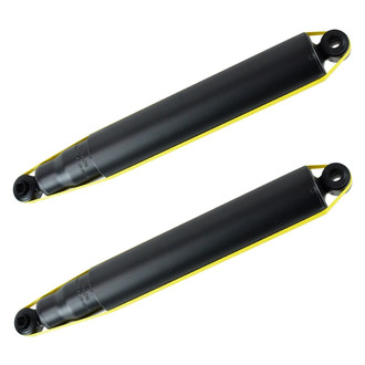 PRT® - Rear Shock Absorber Set
