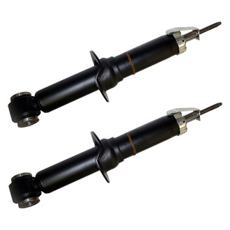 PRT® - Rear Strut Set