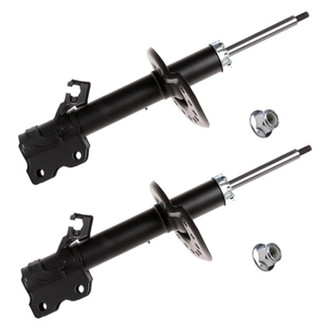 PRT® - Front Strut Assembly Set