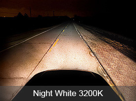 Putco Halogen Bulbs Installed - Night White