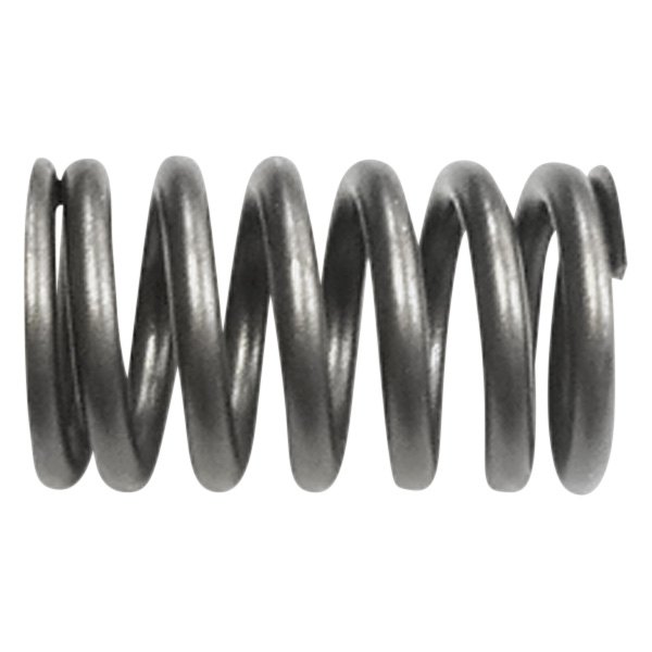 QualCast® - Valve Spring 