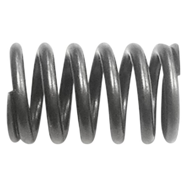 QualCast® - Valve Spring 