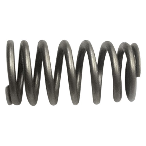 QualCast® - Valve Spring 