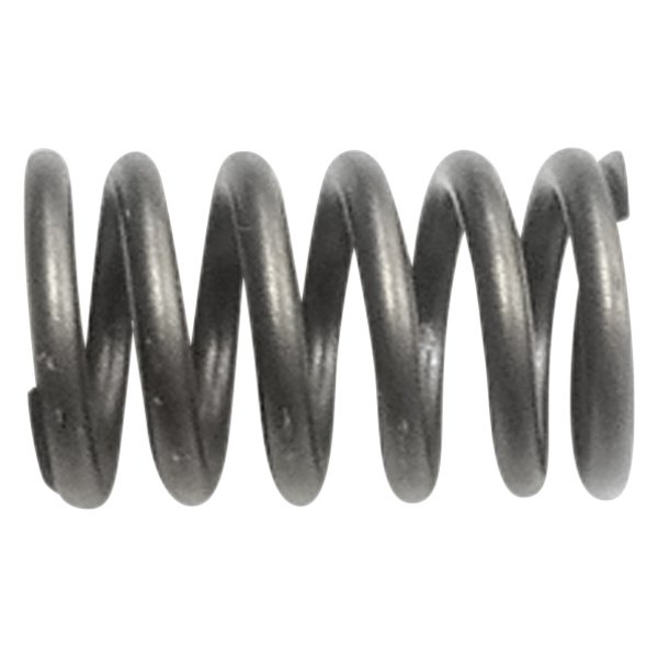 QualCast® - Valve Spring 